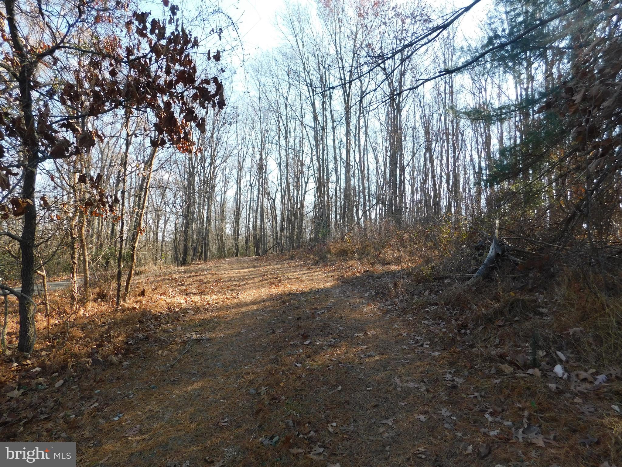 North Bend Road Jarrettsville, MD 21084 - Photo 3 of 6 Logging Road leads to rear of property 4wheel only