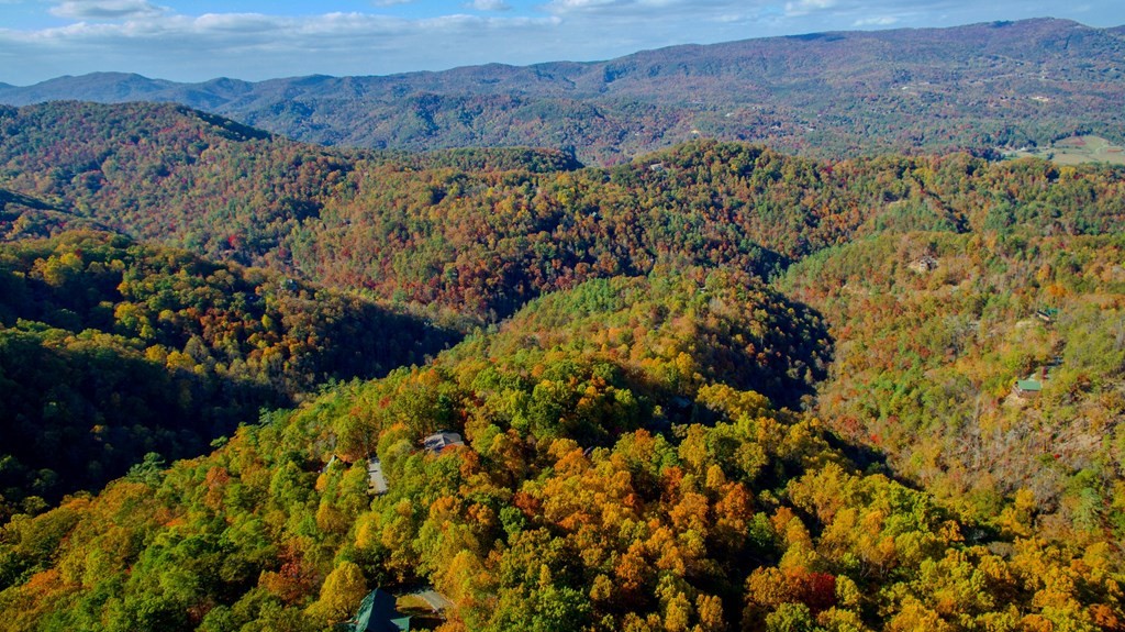 10 Shagbark Hickory Ridge Sevierville, TN 37862 - Photo 17 of 28 Gallery Image 17