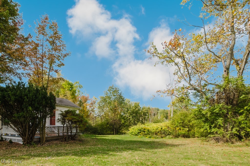 8150 Madison Road Thompson, OH 44086 - Photo 25 of 28 View of green lawn