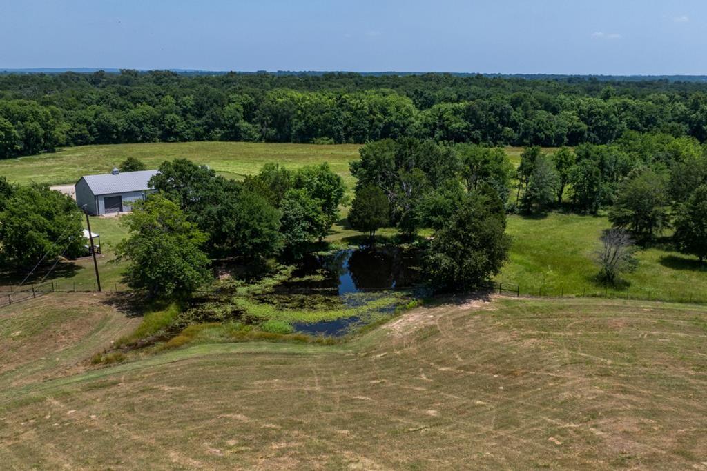 455 County Road 2808 Mabank, TX 75147 - Photo 39 of 40 a view of outdoor space and yard
