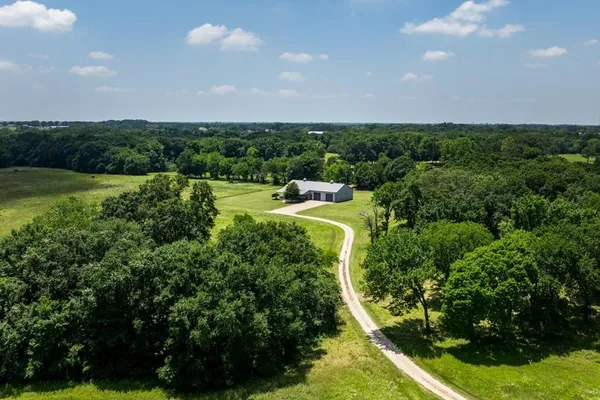 a view of a garden with an outdoor space