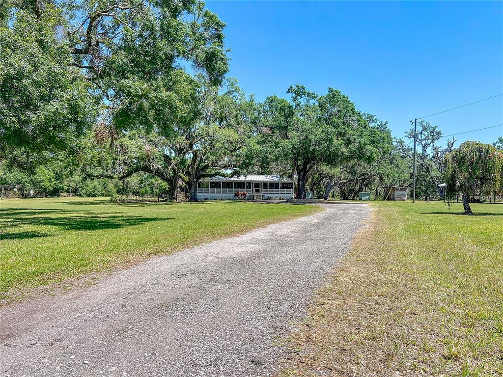 5870 Jim Davis Road Parrish, FL 34219 - Photo 32 of 39 Long driveway for privacy from Jim Davis Road.