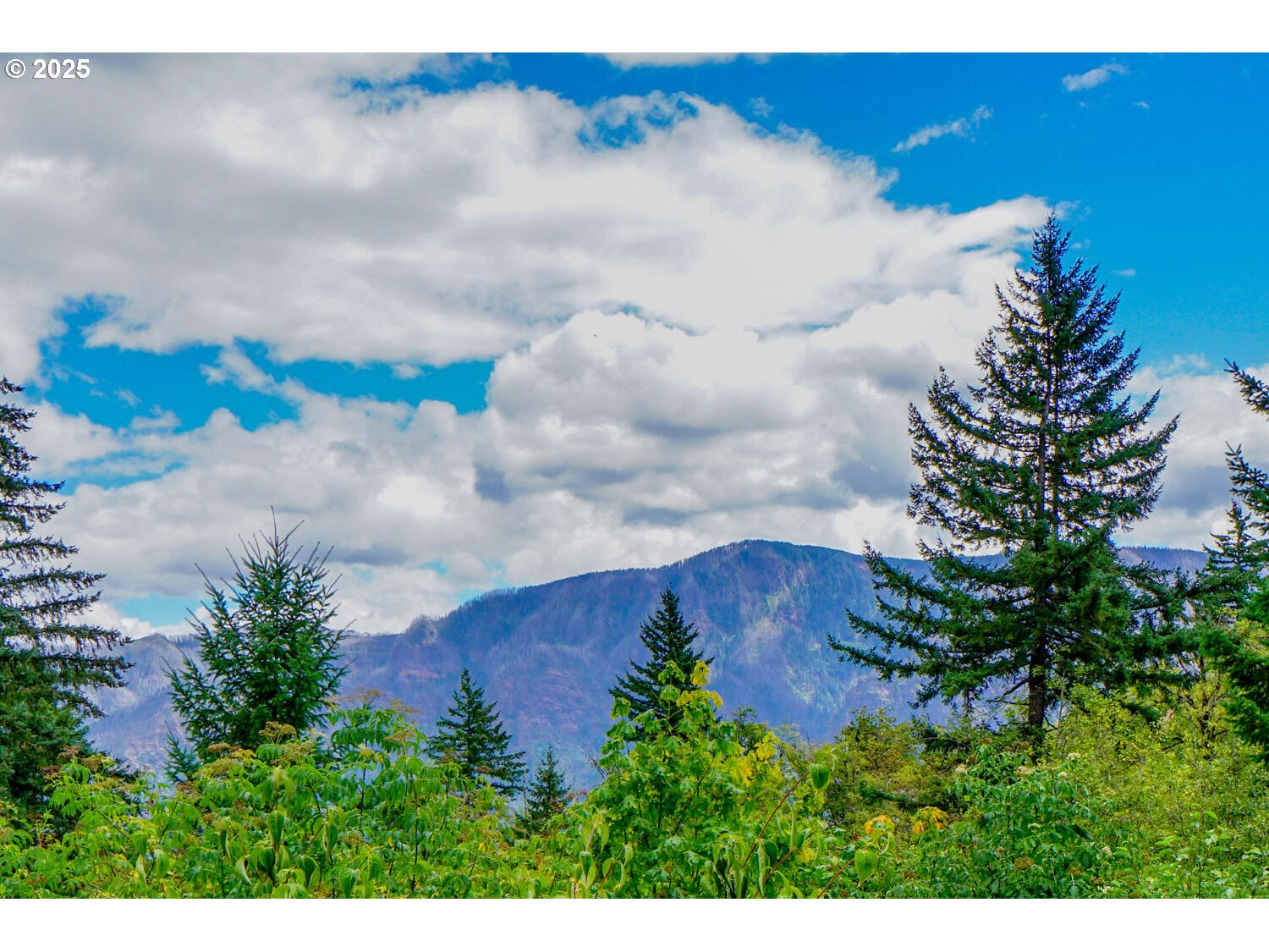 1922 Duncan Creek Road Stevenson, WA 98648 - Photo 11 of 39 a view of a sky