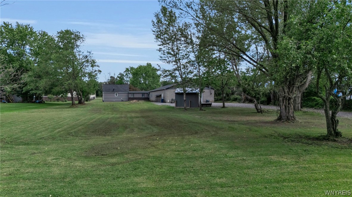 12694 Creek Road Sardinia, NY 14030 - Photo 36 of 45