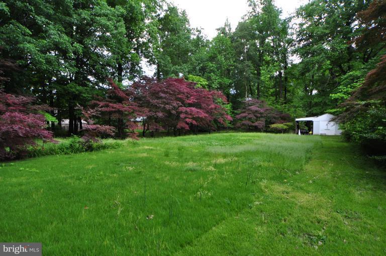 5017 Columbia Road Annandale, VA 22003 - Photo 9 of 24 Exterior (Rear)
