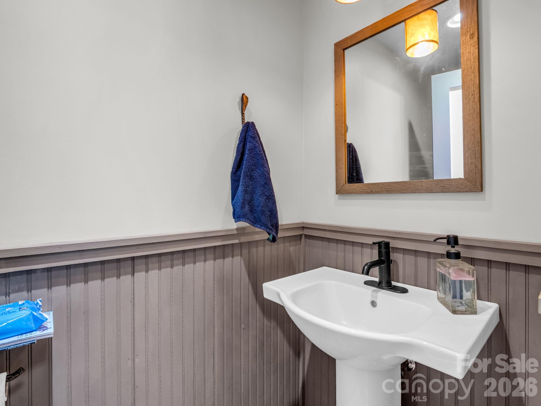 372 Horn Bottom Road Forest City, NC 28043 - Photo 36 of 48