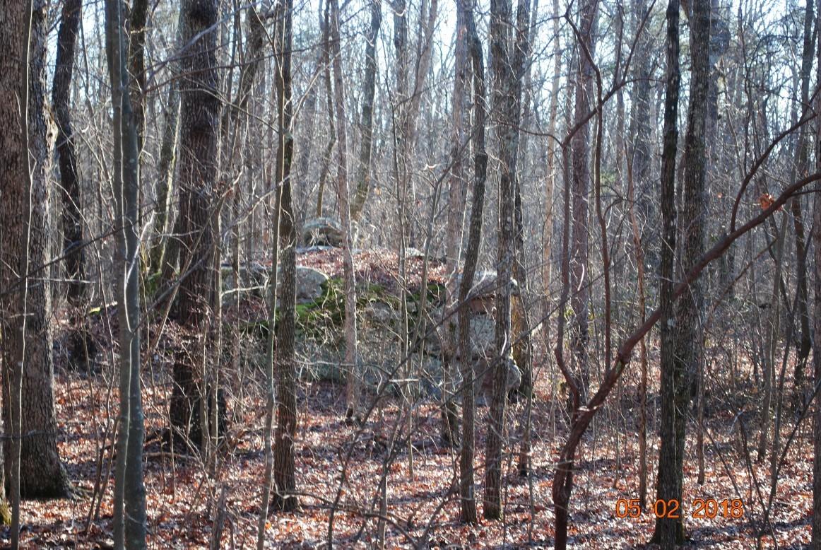 52 Challenger Way Rising Fawn, GA 30738 - Photo 7 of 35 DSC_0041