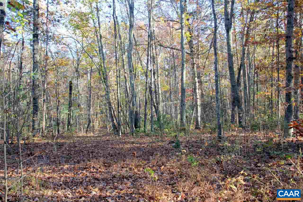 25-6g Ridgeview Road Reva, VA 22735 - Photo 3 of 6 a view of outdoor space and green space