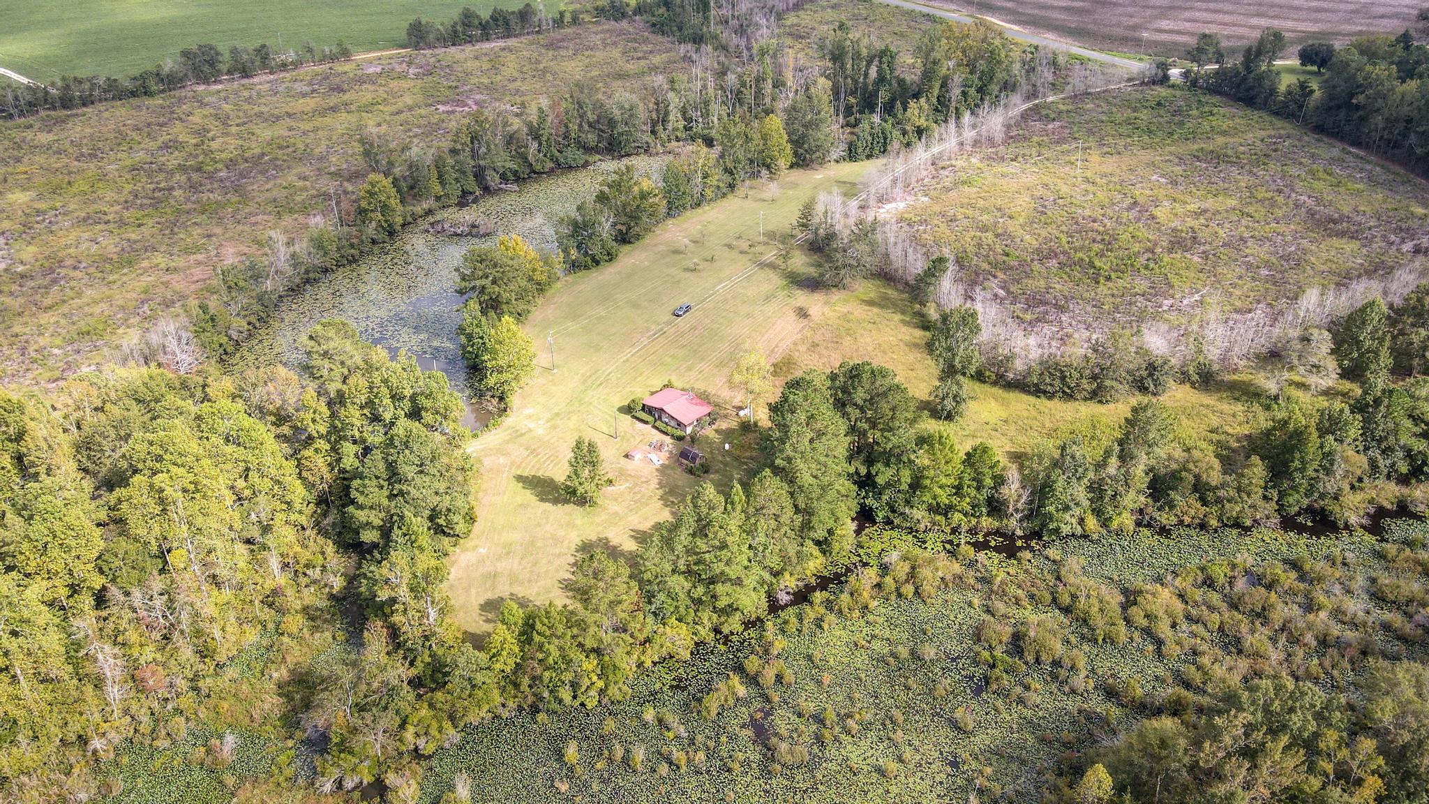 1420 Baltic Road Blackville, SC 29817 - Photo 8 of 22