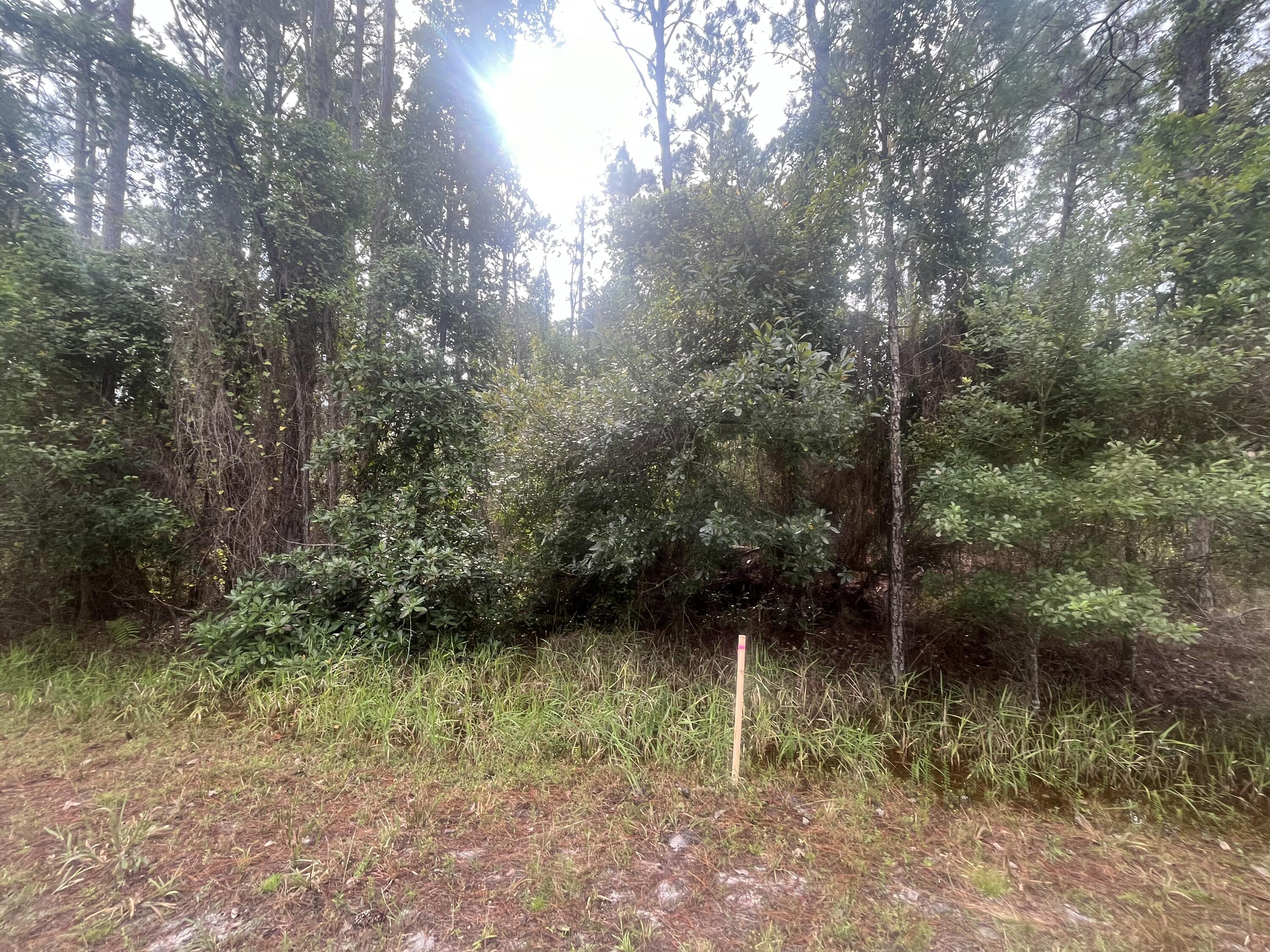 223 2nd Street Georgetown, FL 32139 - Photo 7 of 7 a view of lake with green space