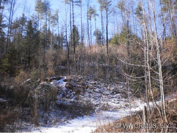 Lot 2 Amos Arrington Road Clyde, NC 28721 - Photo 1 of 4 Gallery Image 1