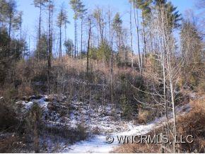 Lot 2 Amos Arrington Road Clyde, NC 28721 - Photo 3 of 4 Gallery Image 3