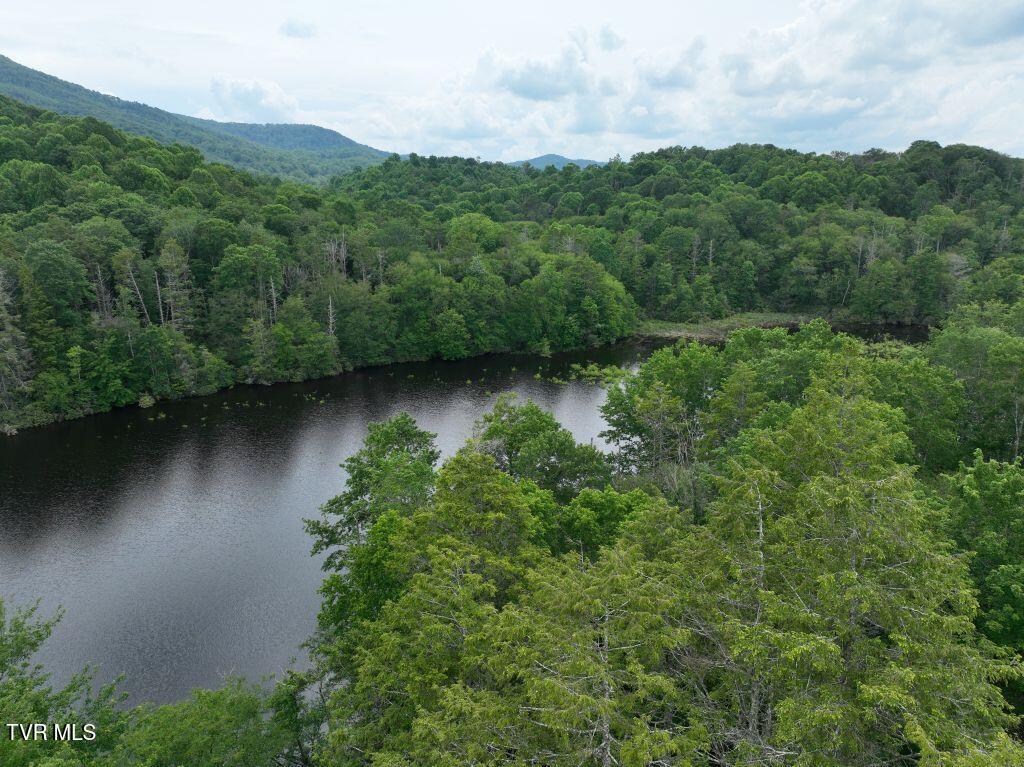 1776 Ripshin Mountain Road, Unit 56 Roan Mountain, TN 37687 - Photo 16 of 43 DJI_0089 (1)