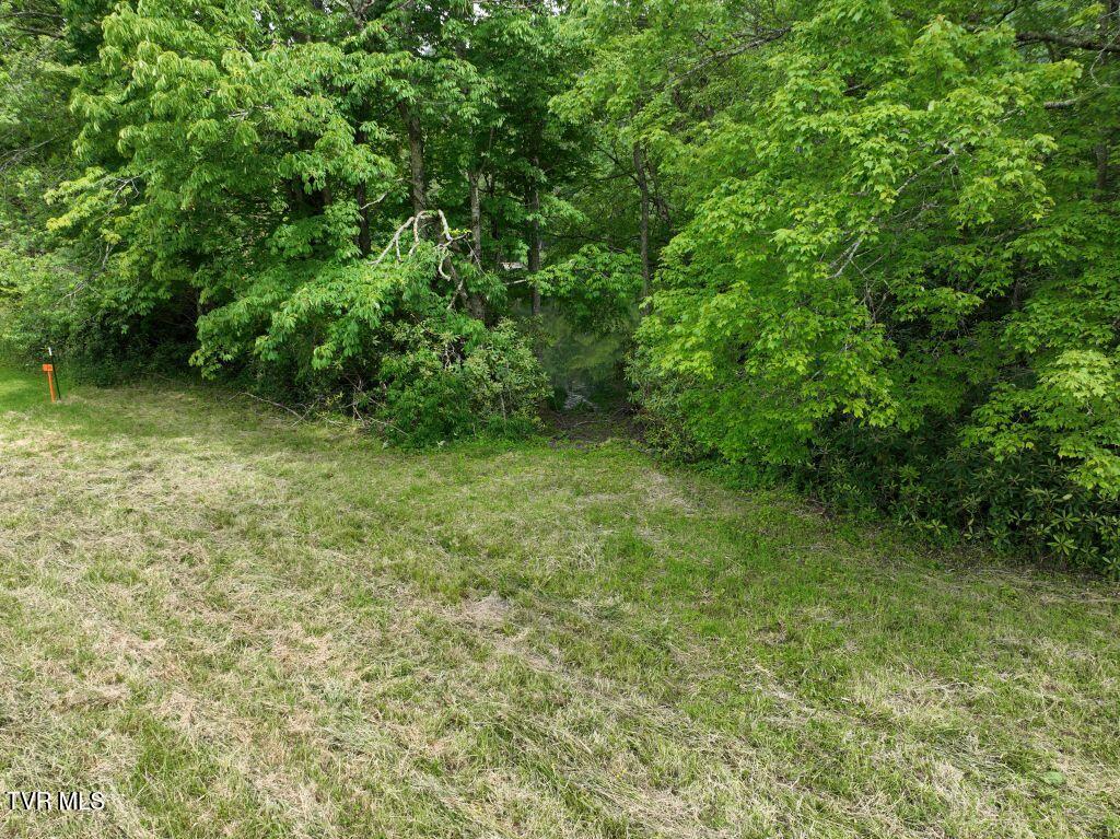 1776 Ripshin Mountain Road, Unit 56 Roan Mountain, TN 37687 - Photo 29 of 43 DJI_0122