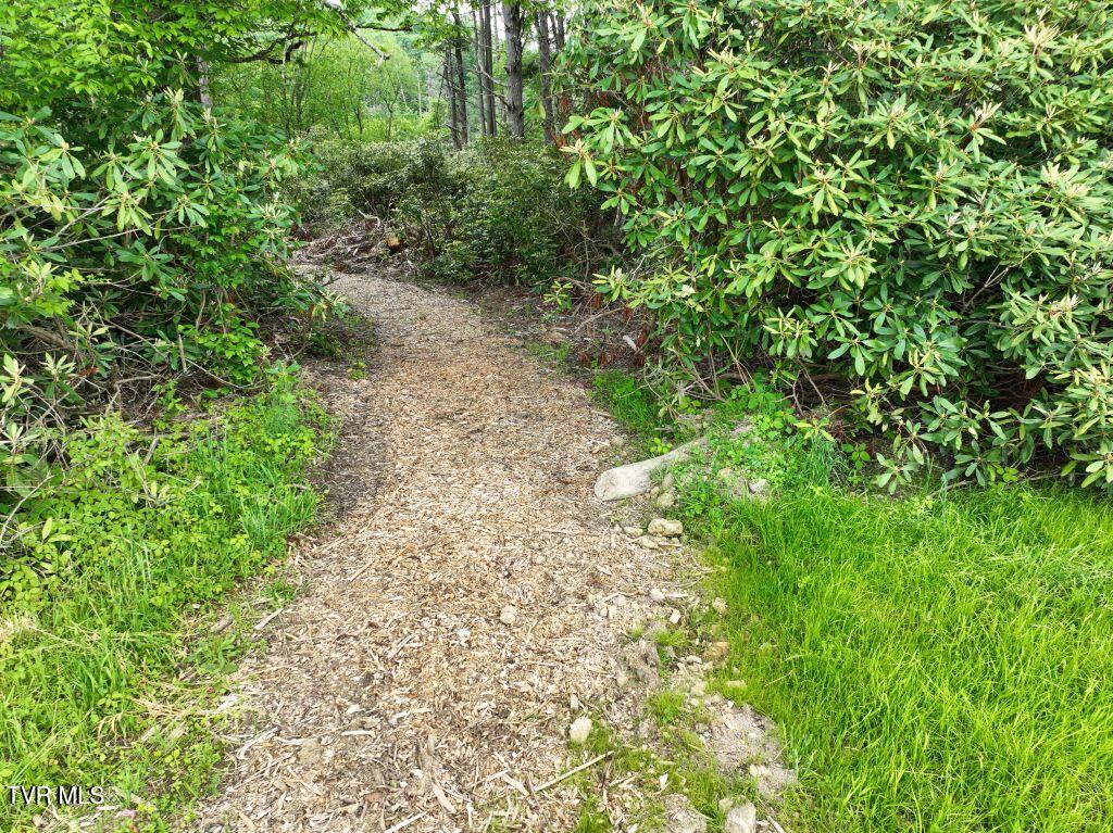 1776 Ripshin Mountain Road, Unit 56 Roan Mountain, TN 37687 - Photo 6 of 43 DJI_0078