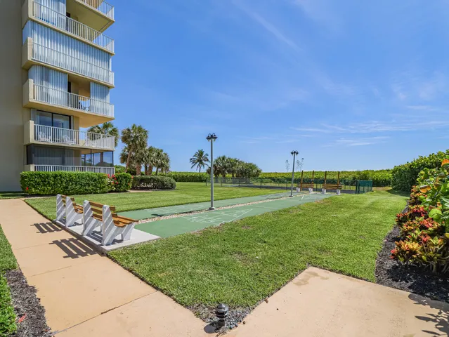 a view of a park with plants and large trees