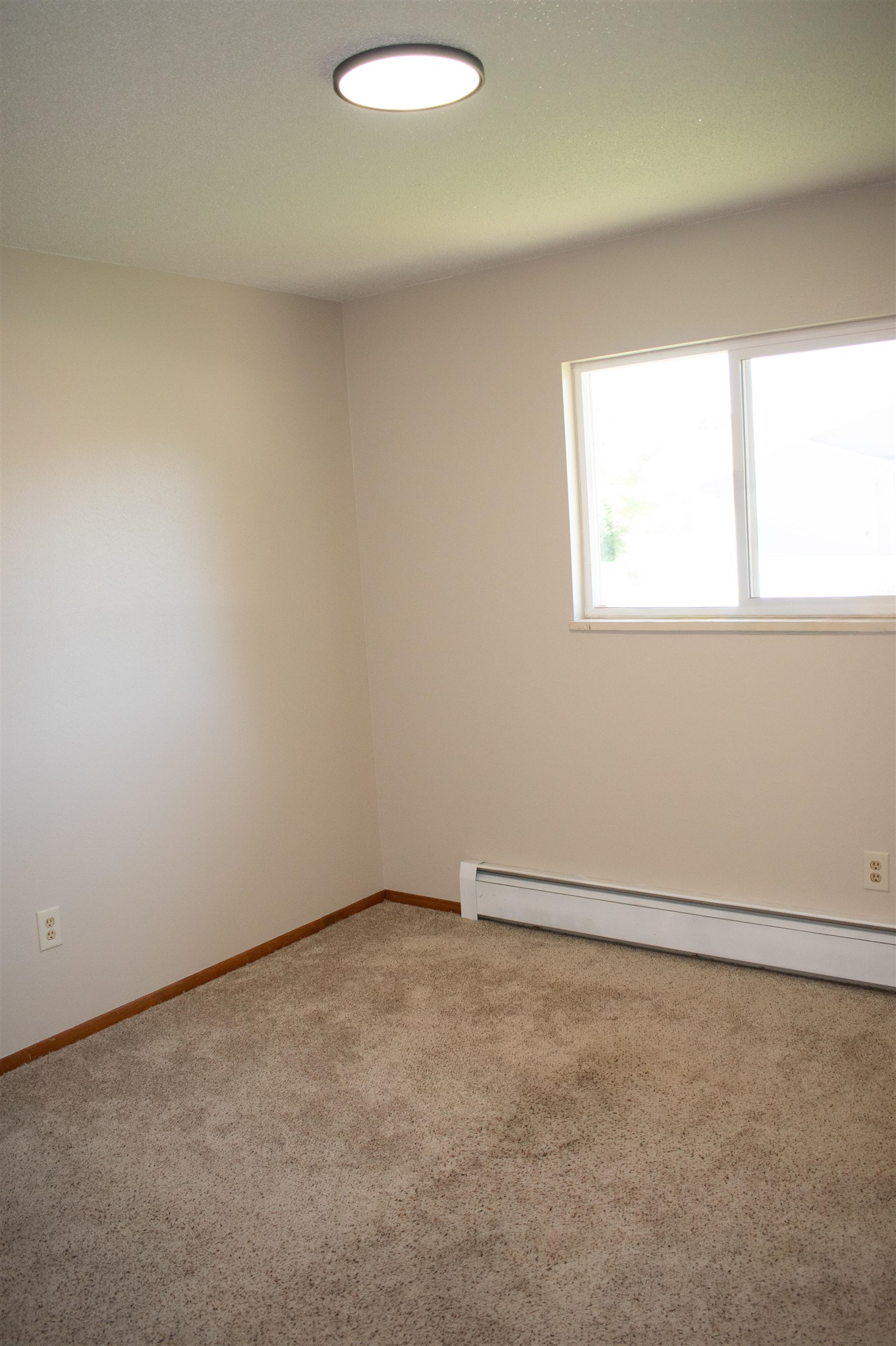 519-29 29 1/4 Road Grand Junction, CO 81504 - Photo 10 of 20