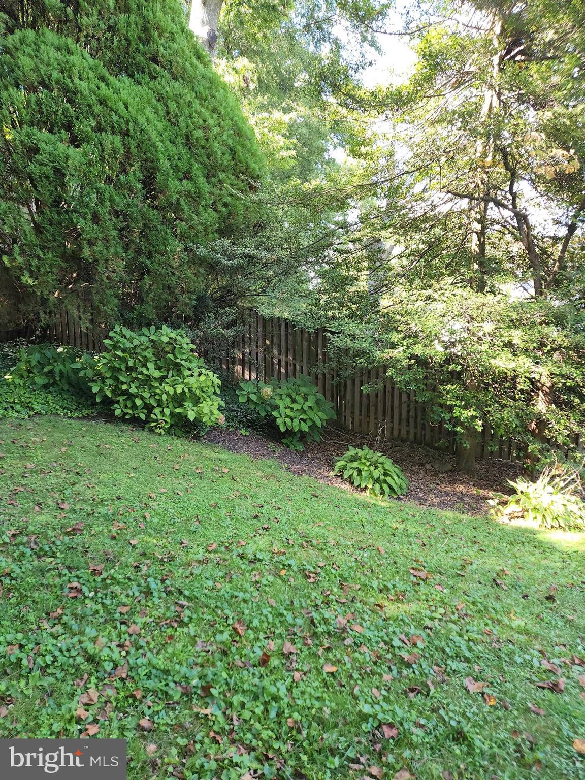 3916 48th Street Northwest Washington, DC 20016 - Photo 28 of 29 a view of yard with green space