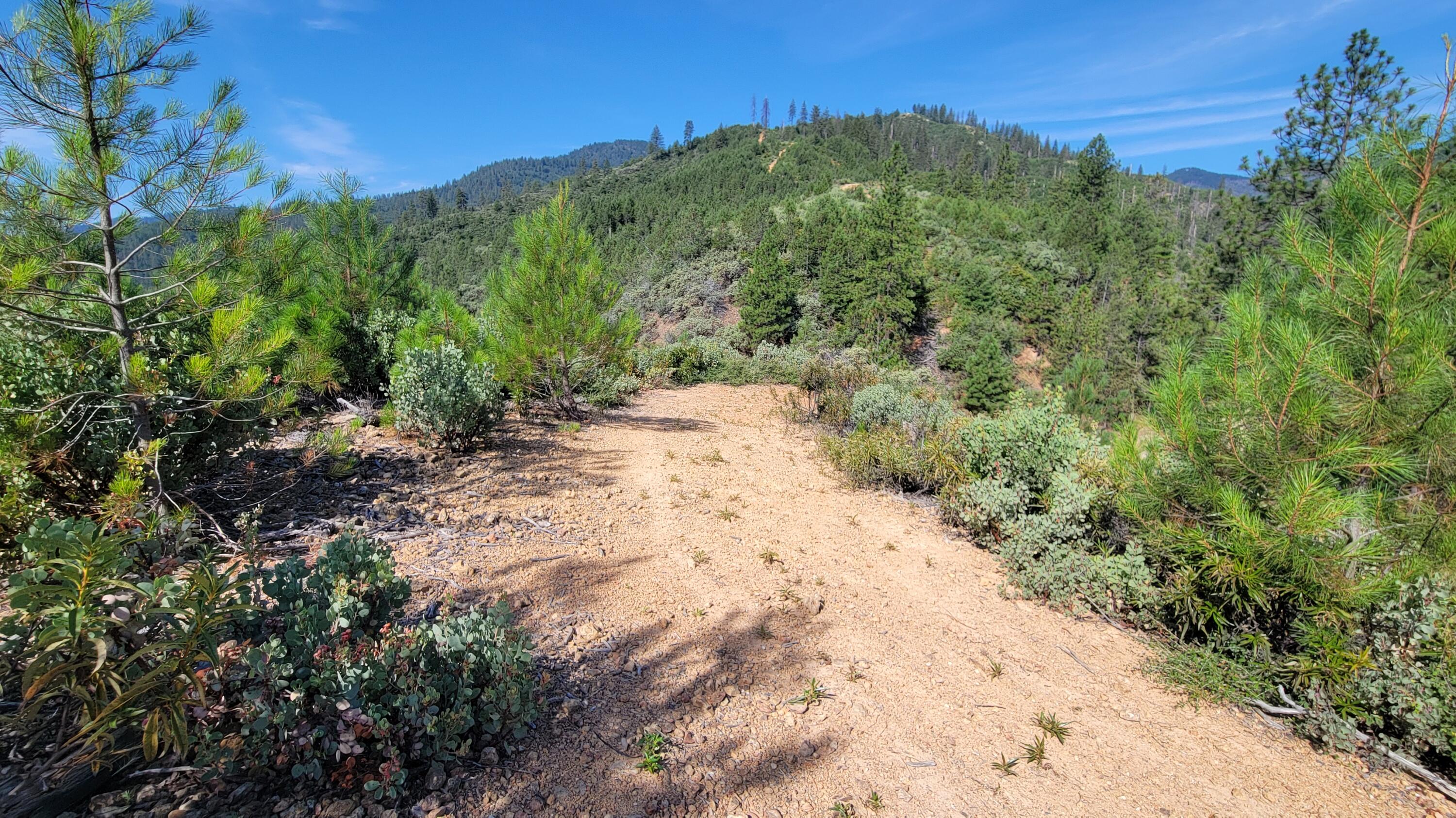 0 Westside Road Shasta Lake, CA 96019 - Photo 15 of 23 20260617_094132