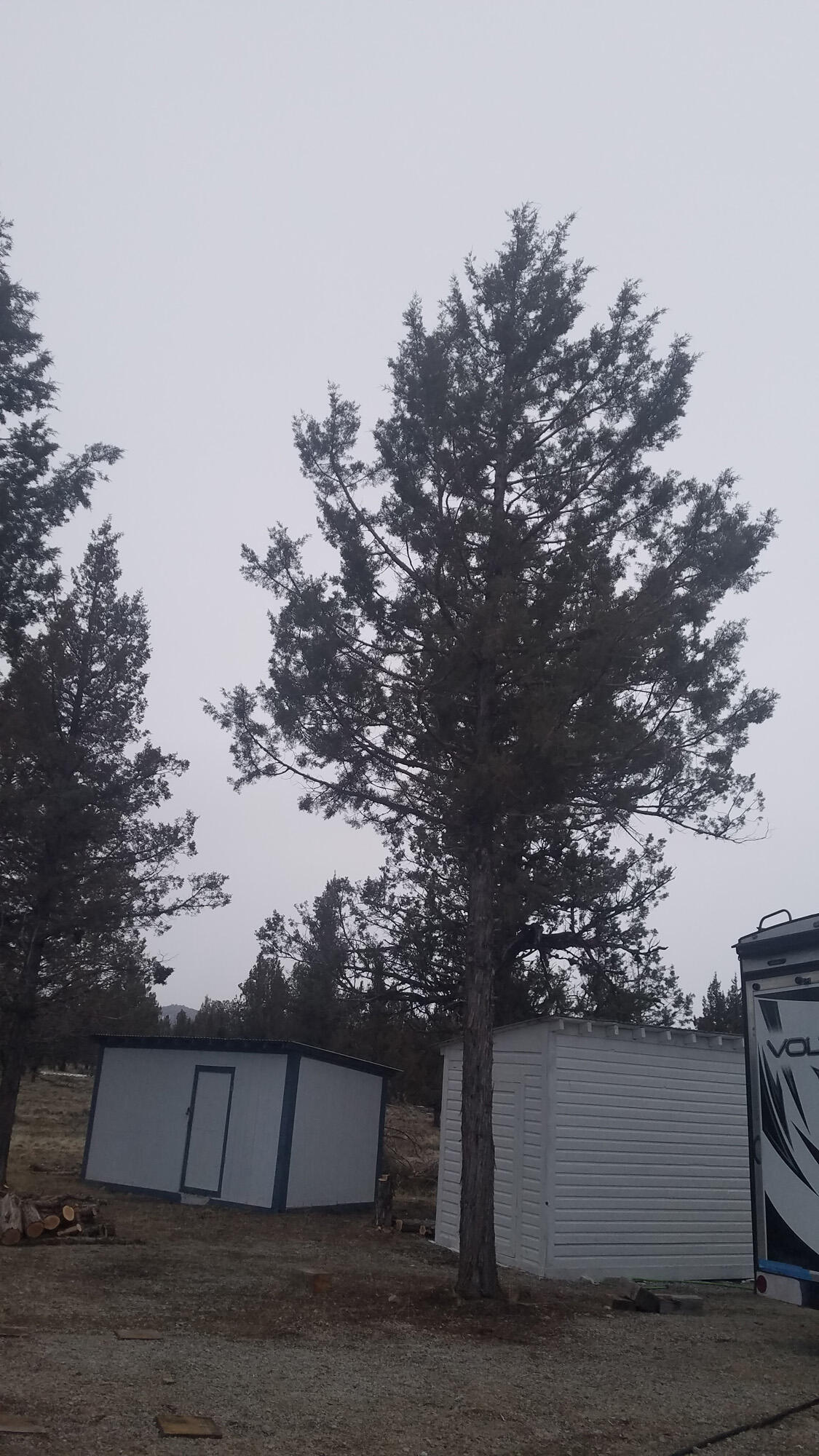 16511 Fishhole Creek Road Bly, OR 97622 - Photo 80 of 96 00103