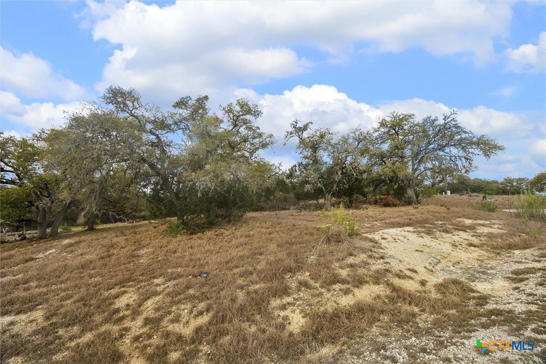 2364 Campestres Spring Branch, TX 78070 - Photo 11 of 13