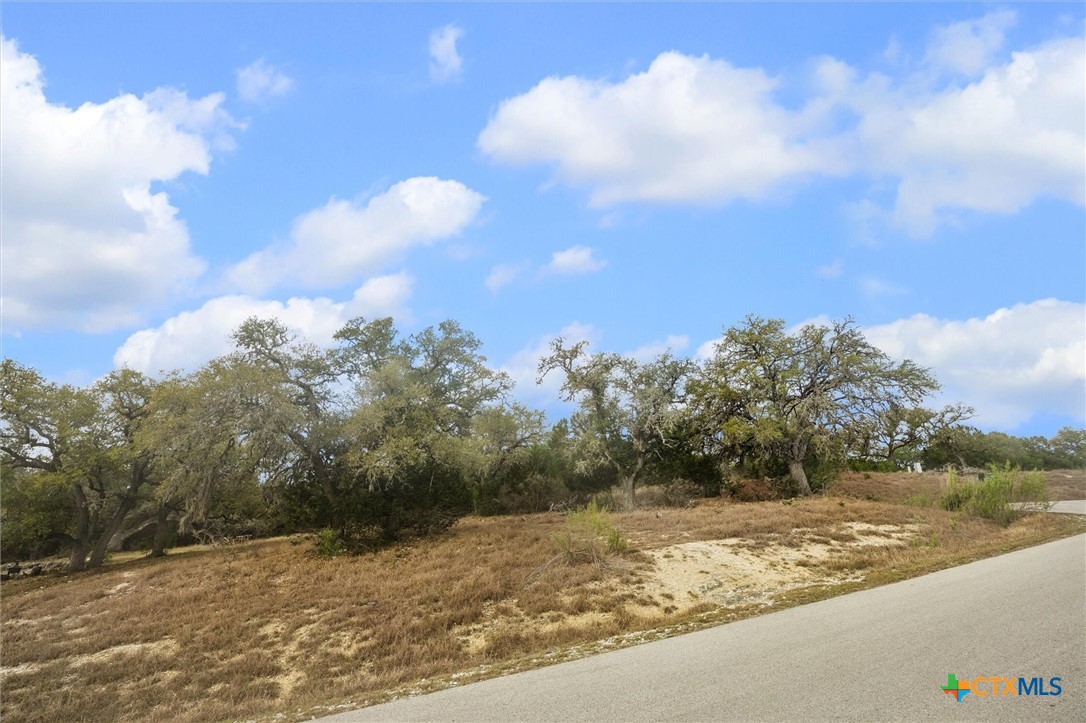 2364 Campestres Spring Branch, TX 78070 - Photo 12 of 13