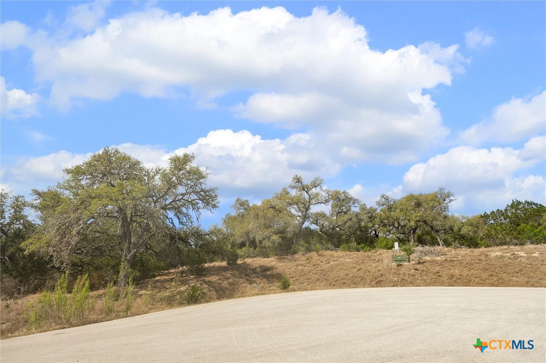 2364 Campestres Spring Branch, TX 78070 - Photo 4 of 13