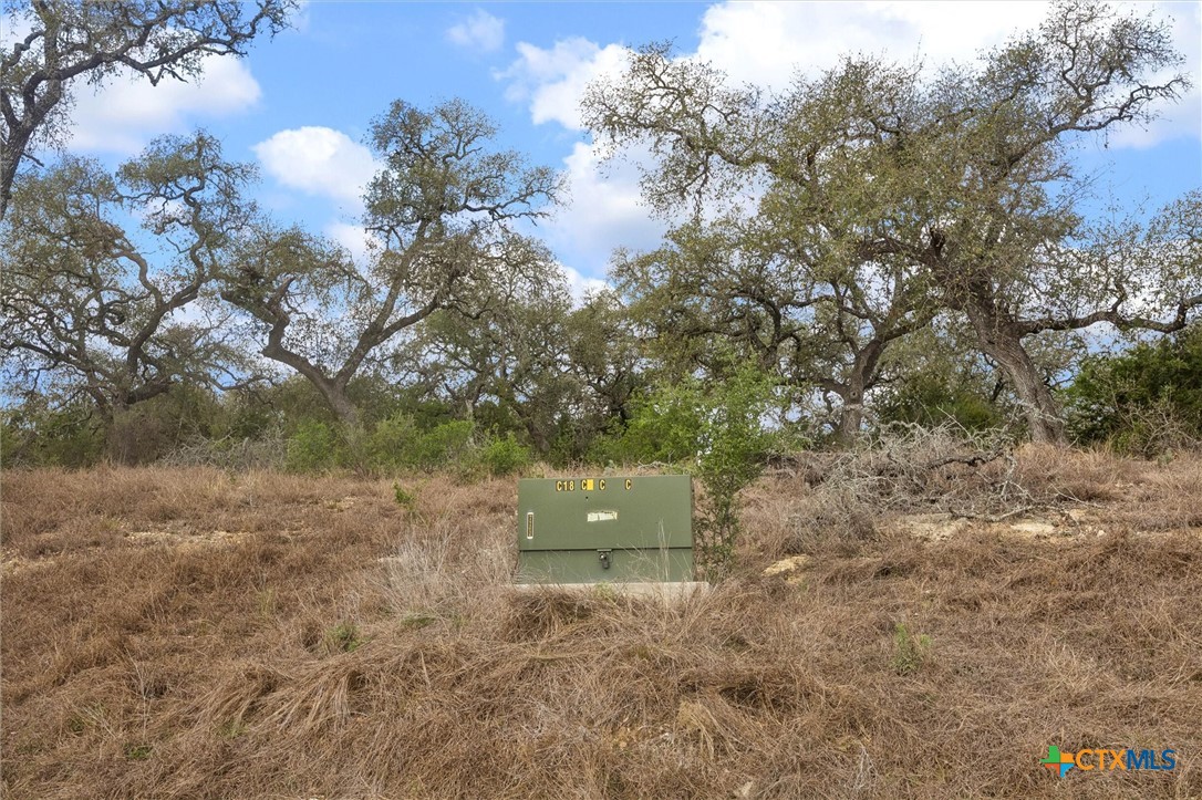 2364 Campestres Spring Branch, TX 78070 - Photo 6 of 13