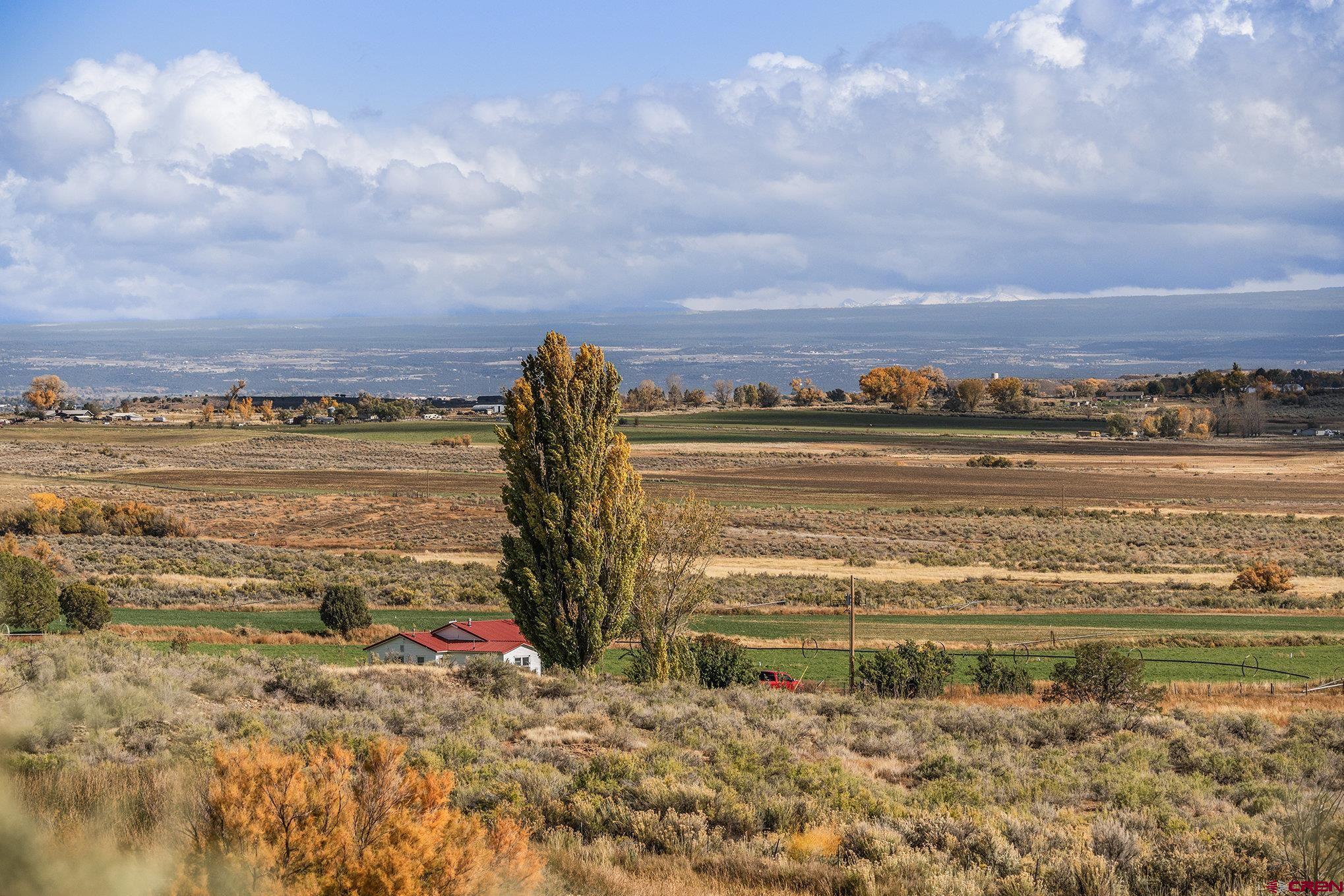 2997 20.5 Road Cortez, CO 81321 - Photo 13 of 27 Looking East from the vineyard
