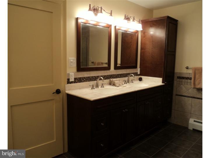 6670 Upper York Road New Hope, PA 18938 - Photo 11 of 25 Master Bathroom