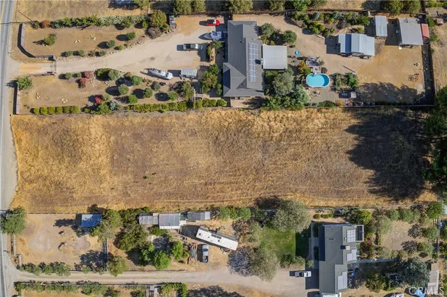 a view of a dry yard with a tree