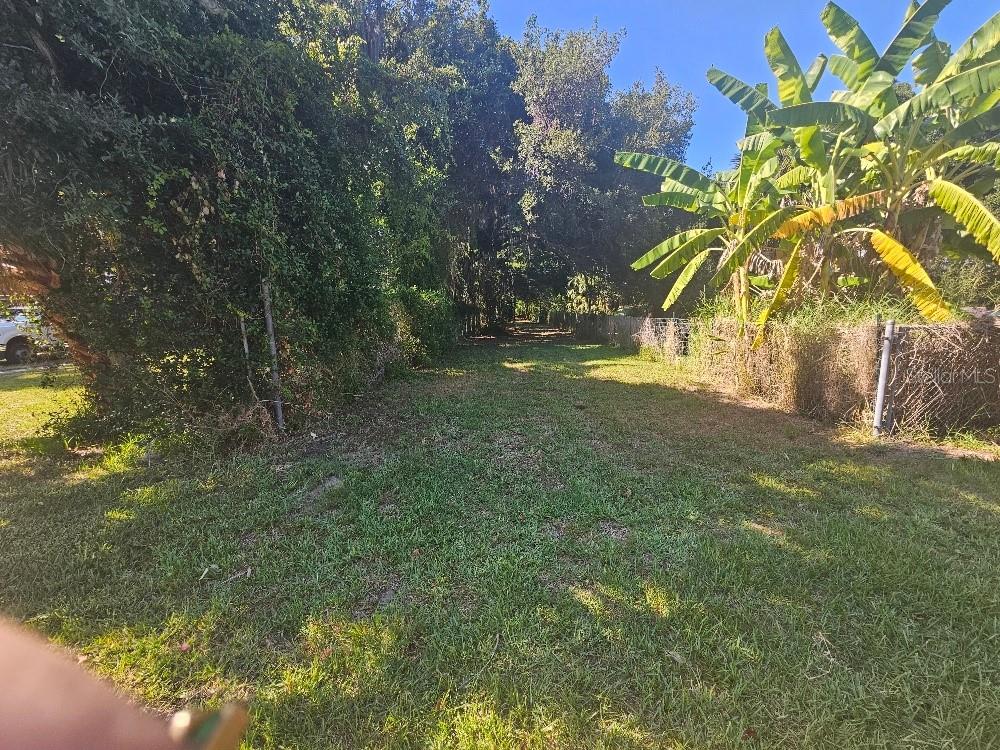 Private Drive Tavares, FL 32778 - Photo 3 of 3