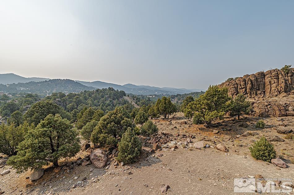 4090 Whiskey Flat Road Reno, NV 89521 - Photo 29 of 29 a view of a large mountain with lots of trees