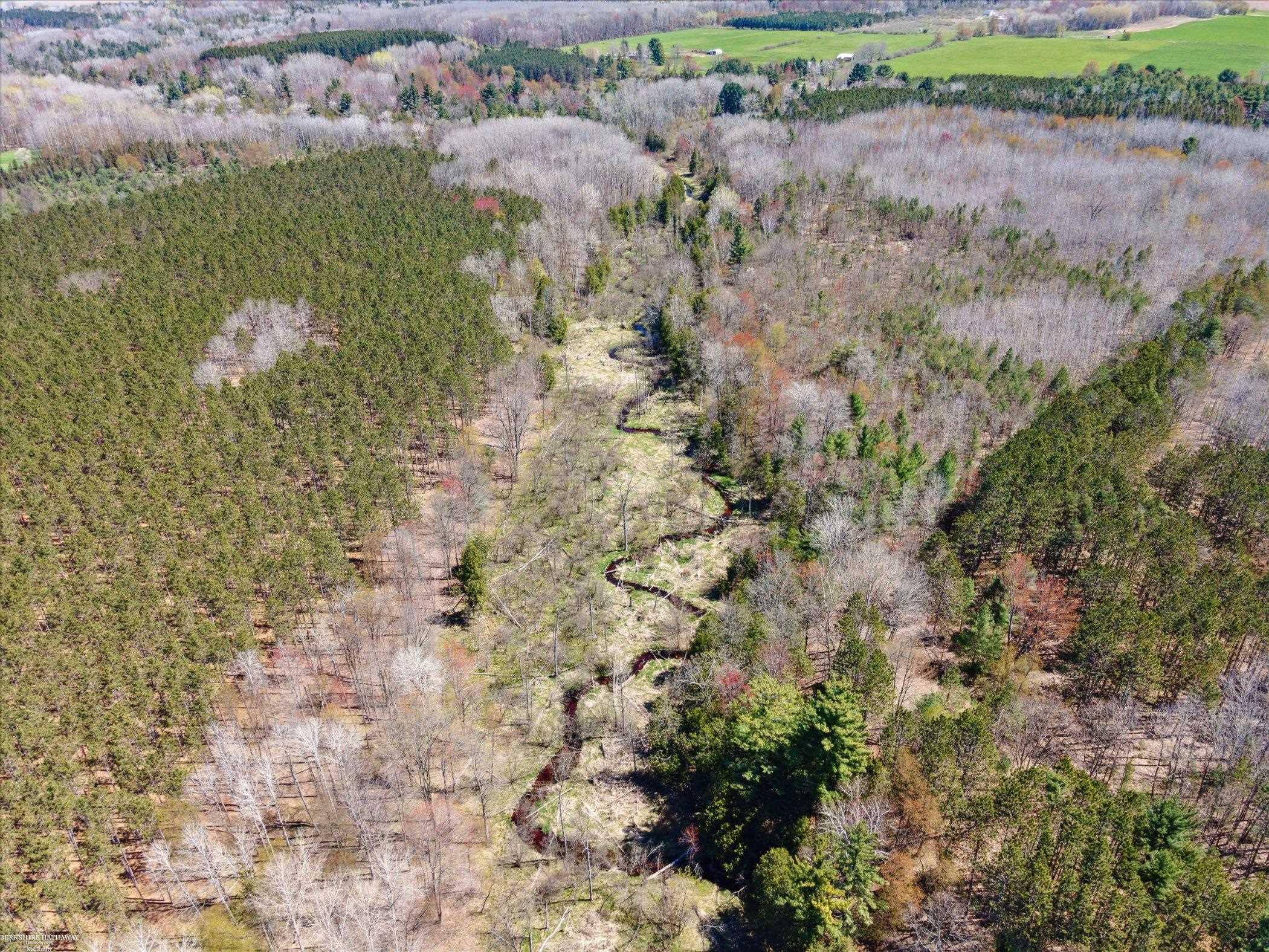 Hottis Road Whittemore, MI 48770 - Photo 18 of 21