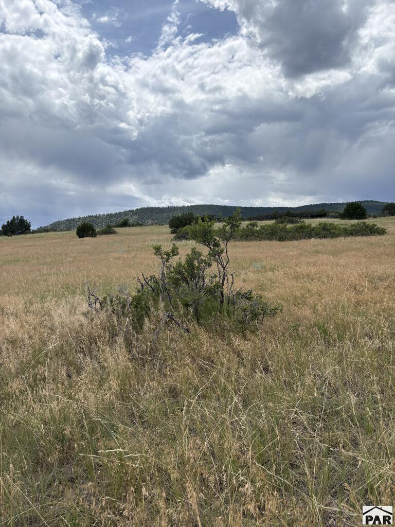 Lot 133 Ghost River Ranch Rye, CO 81069 - Photo 1 of 4 Gallery Image 1