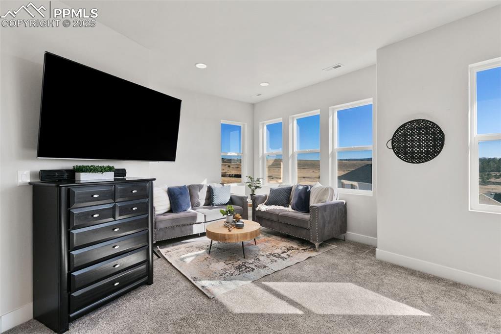 2375 Merlot Drive Colorado Springs, CO 80921 - Photo 24 of 49 a living room with furniture and a flat screen tv