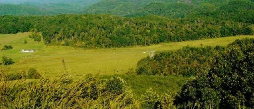 Tract1 Old Belltown Mill Road Tellico Plains, TN 37385 - Photo 1 of 1 Primary Photo