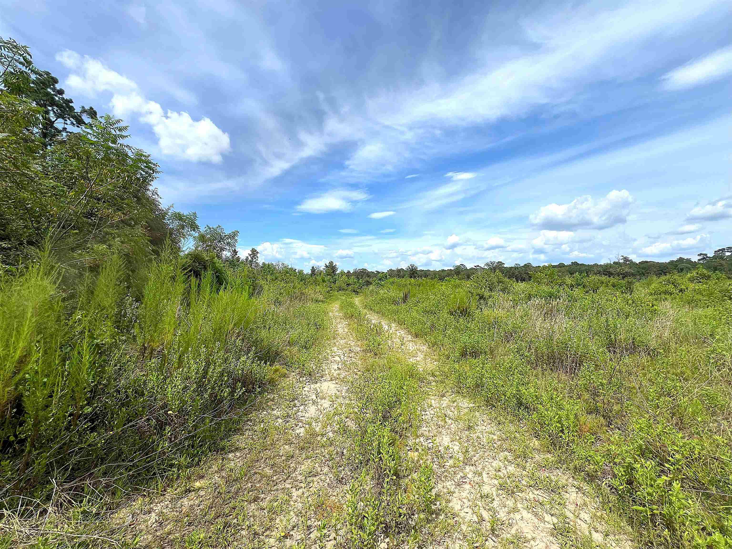 10215 East Gentry Road Silsbee, TX 77656 - Photo 3 of 3