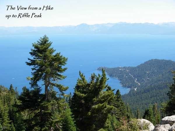 199 Tramway Road Incline Village, NV 89451 - Photo 46 of 49 a view of a bunch of trees in a field
