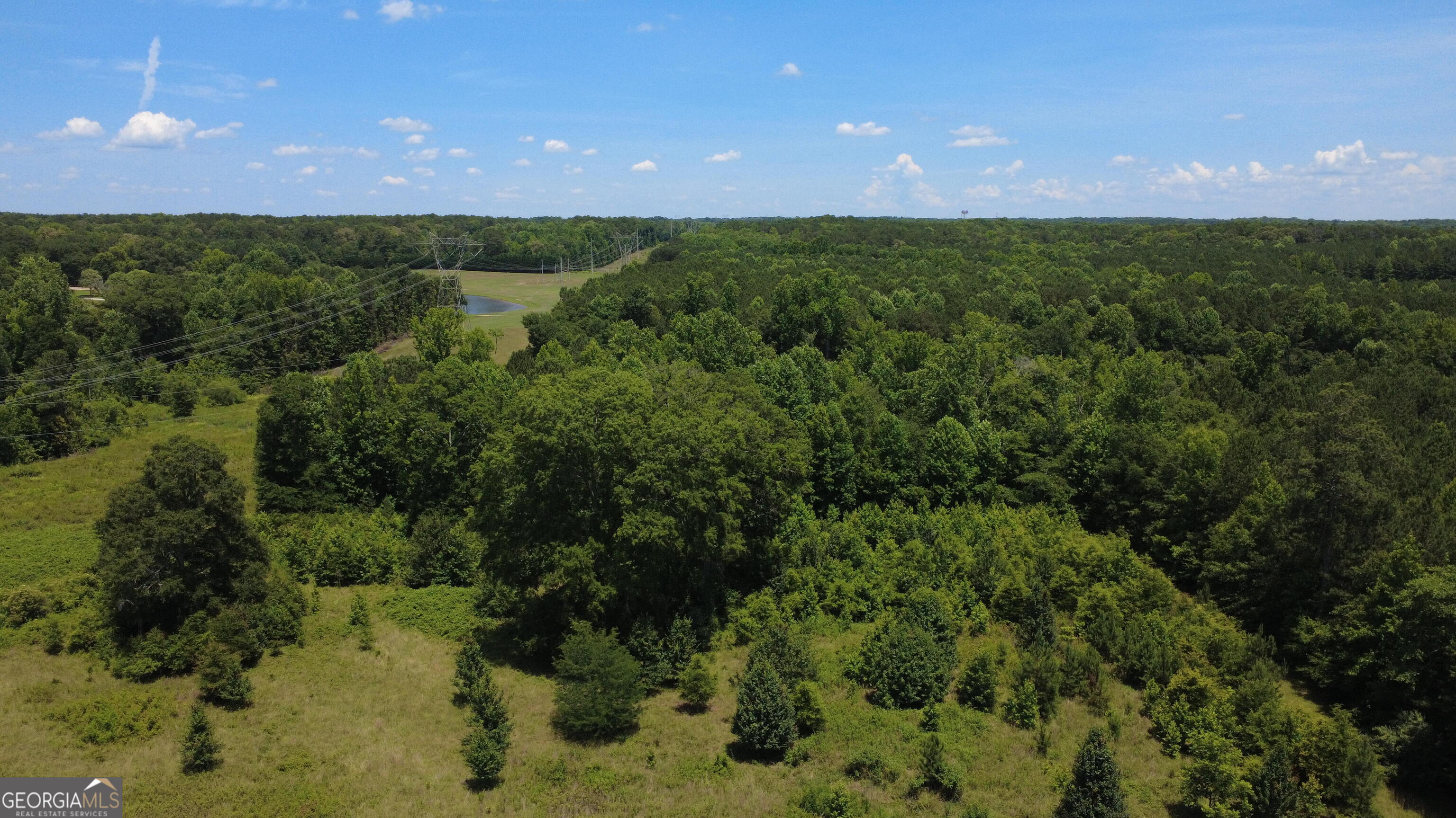 676 Linch Road Senoia, GA 30276 - Photo 28 of 35