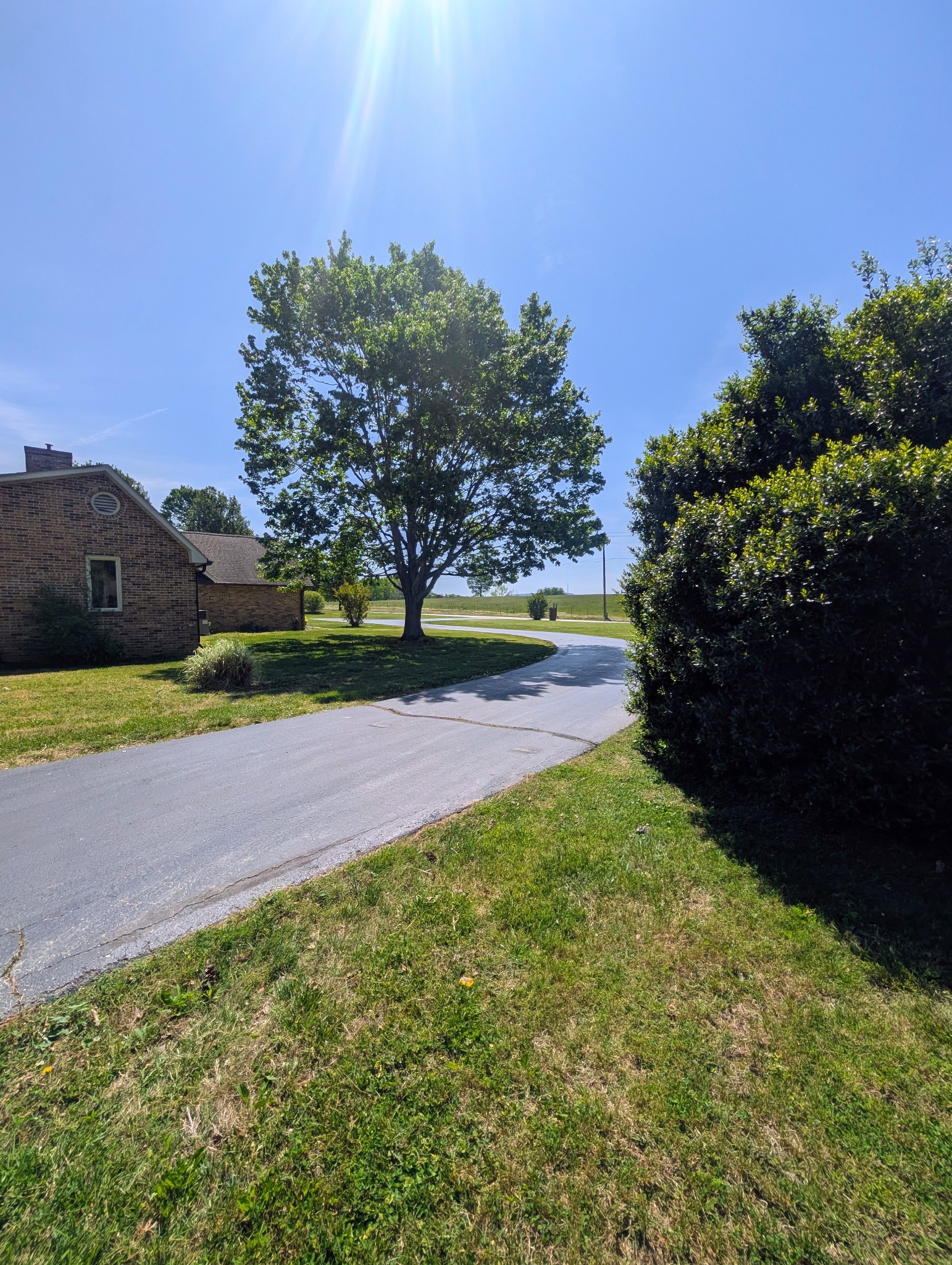 1080 Bybee Branch Road McMinnville, TN 37110 - Photo 42 of 52 a view of yard with outdoor space