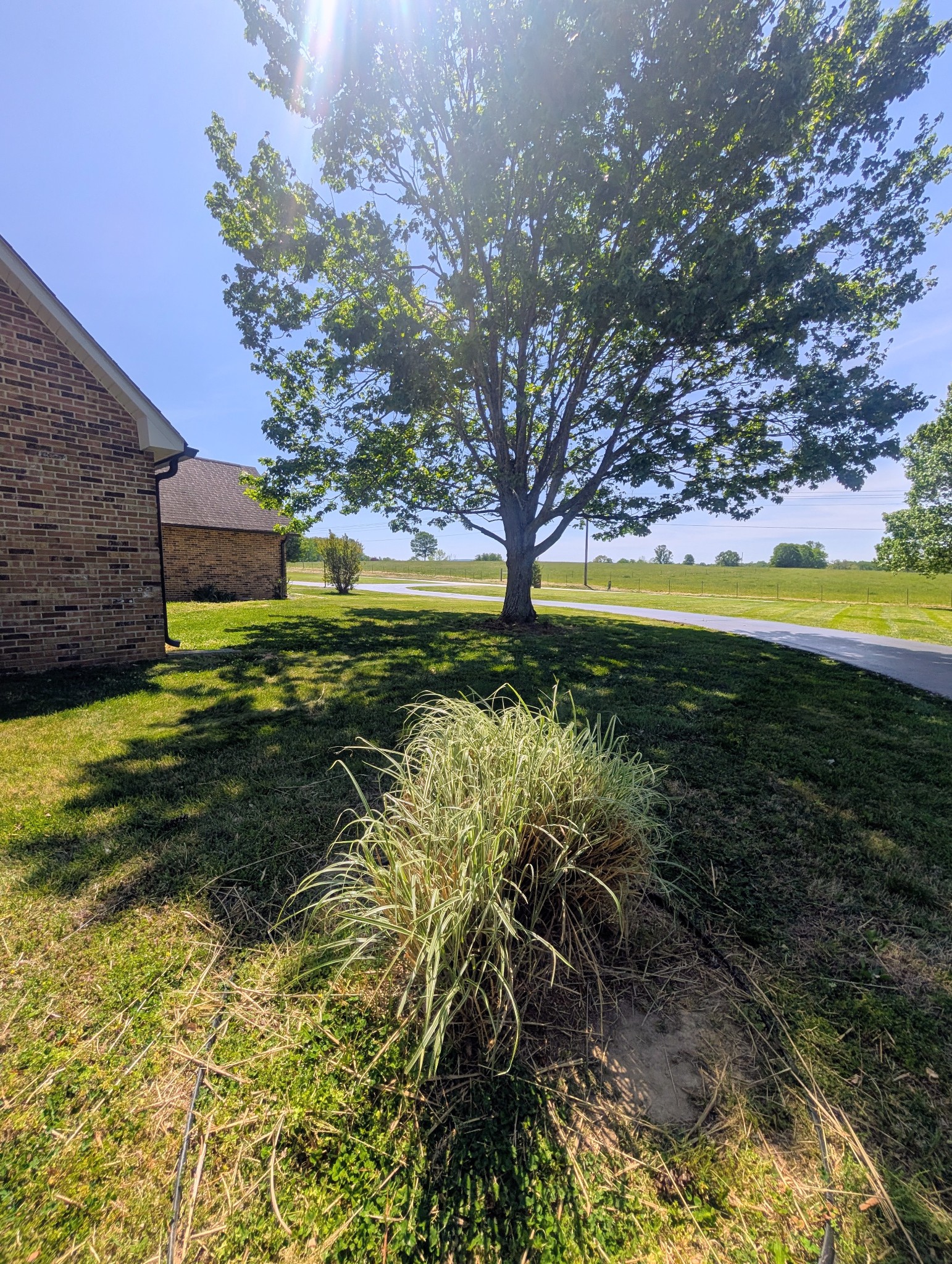 1080 Bybee Branch Road McMinnville, TN 37110 - Photo 43 of 52