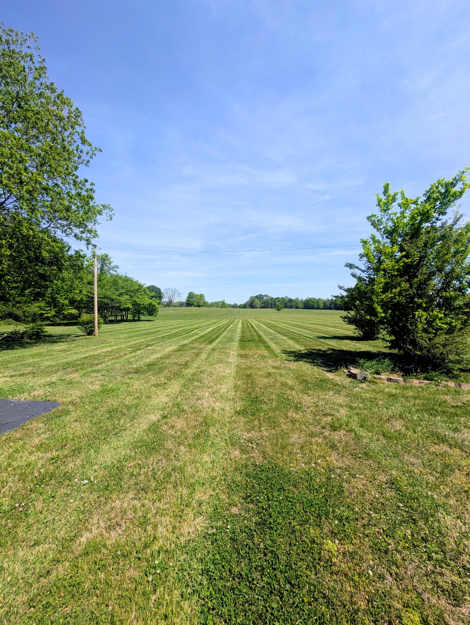 1080 Bybee Branch Road McMinnville, TN 37110 - Photo 51 of 52 a view of a field with an trees