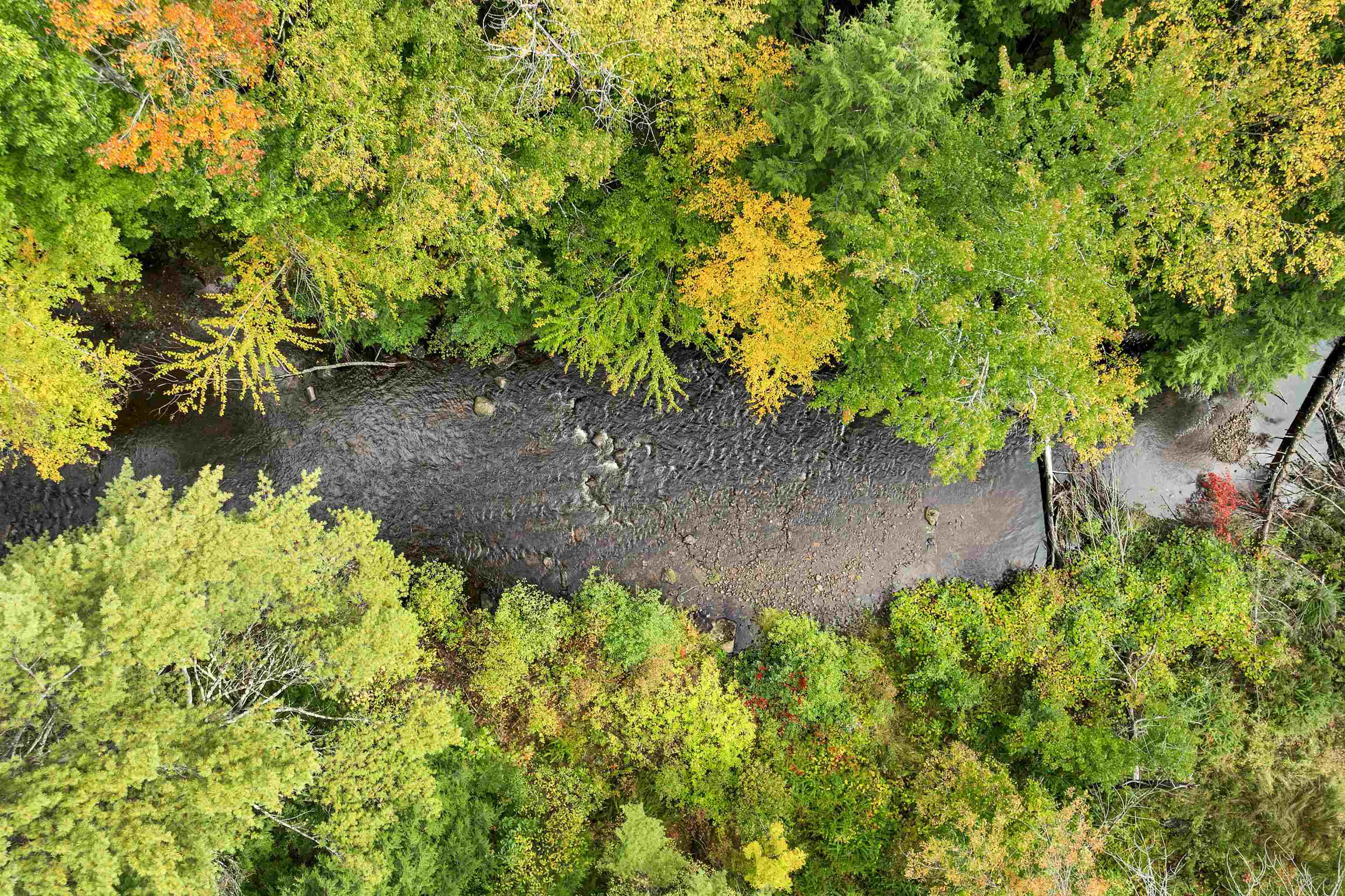 8 Beech River Circle Ossipee, NH 03814 - Photo 3 of 43