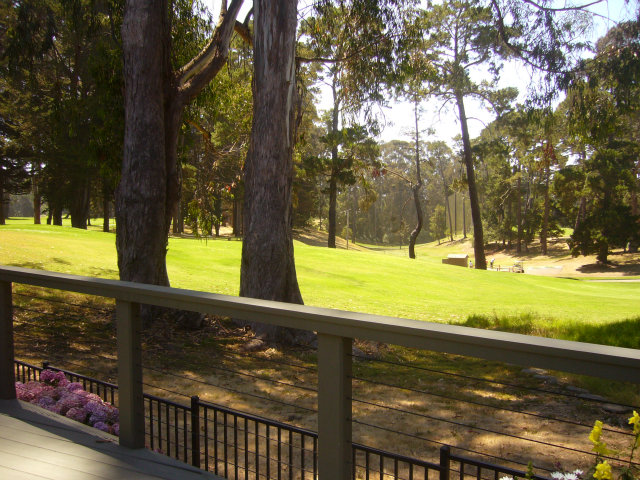 414 Locke Drive Aptos, CA 95003 - Photo 10 of 11 a view of a yard with a tree