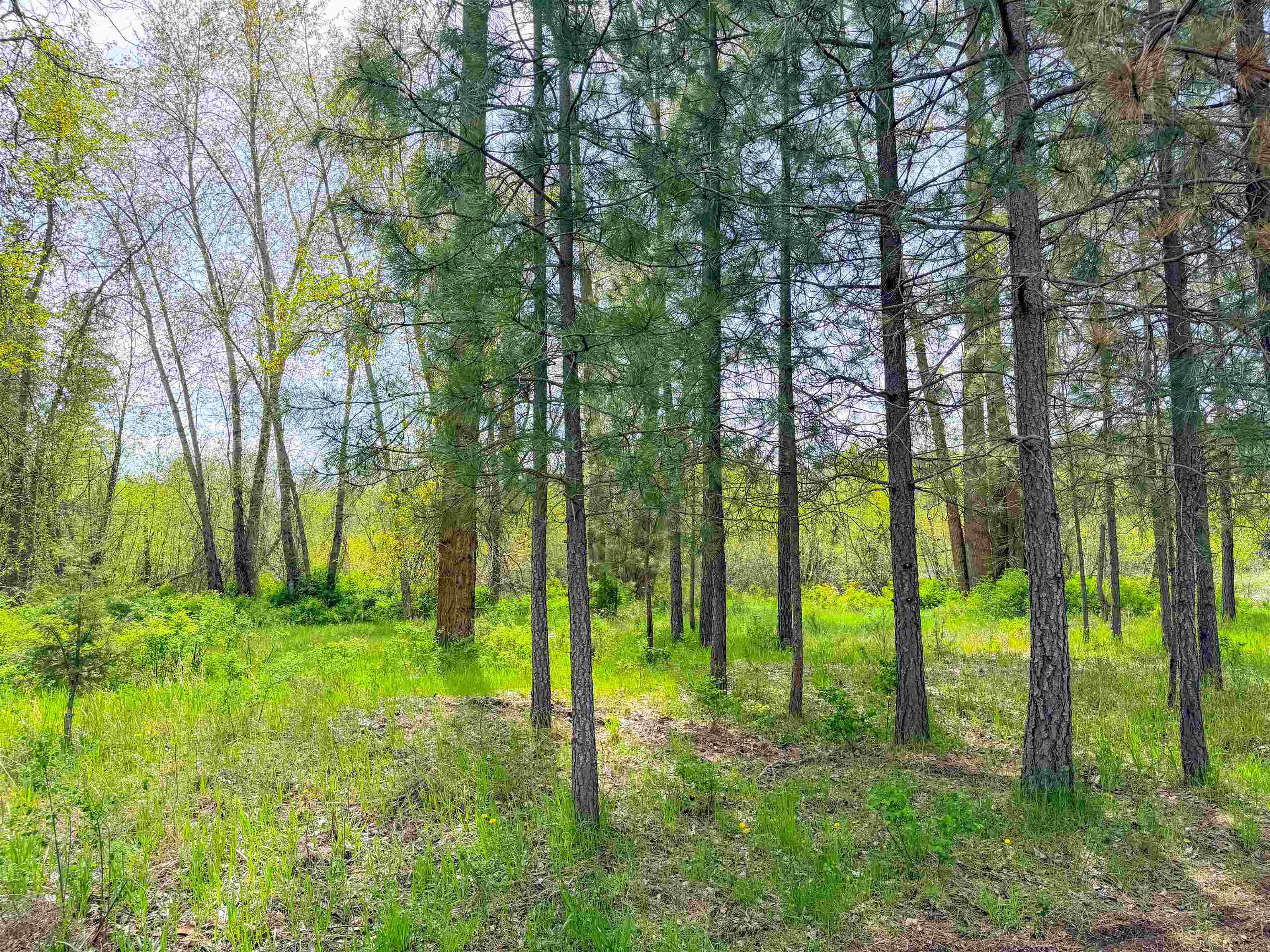 617 Arden Hill Road Colville, WA 99114 - Photo 50 of 50
