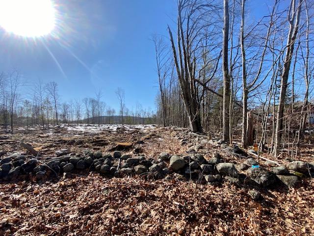0 Mudgett Road Parsonsfield, ME 04047 - Photo 1 of 9 IMG_1568