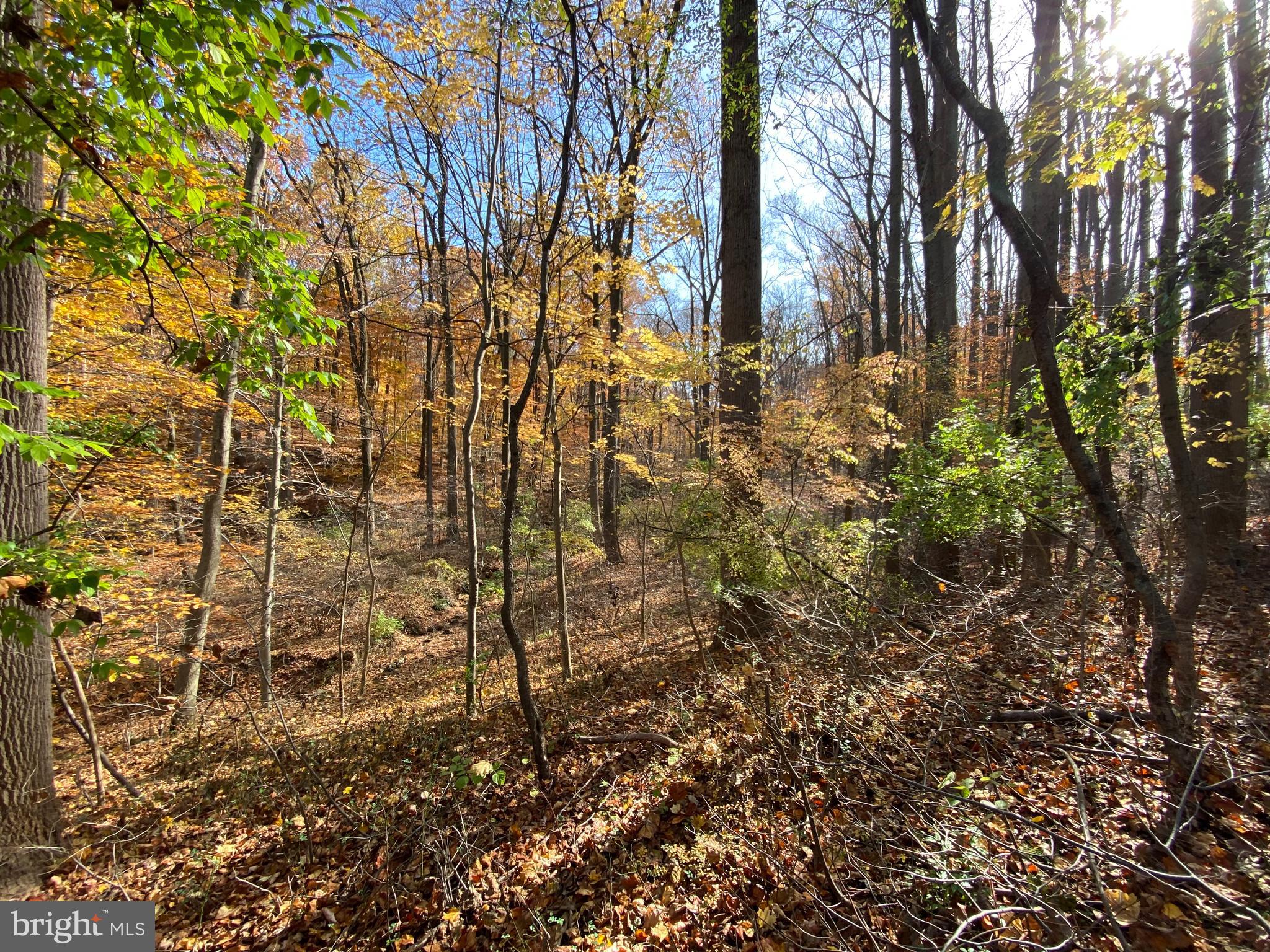 0 Creek Road Aston, PA 19014 - Photo 1 of 1