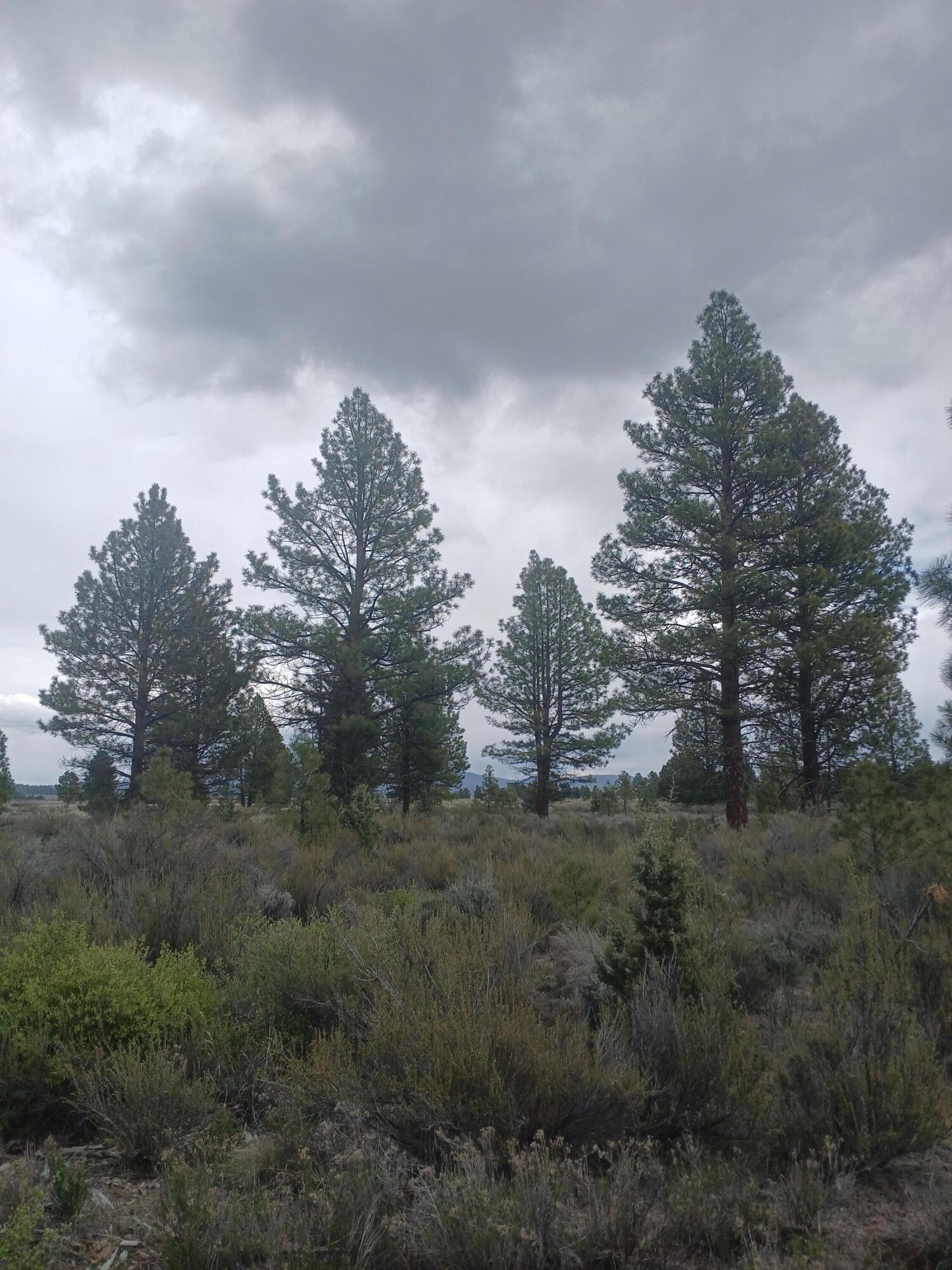 0 Tableland Road Chiloquin, OR 97624 - Photo 15 of 18 20260427_143221