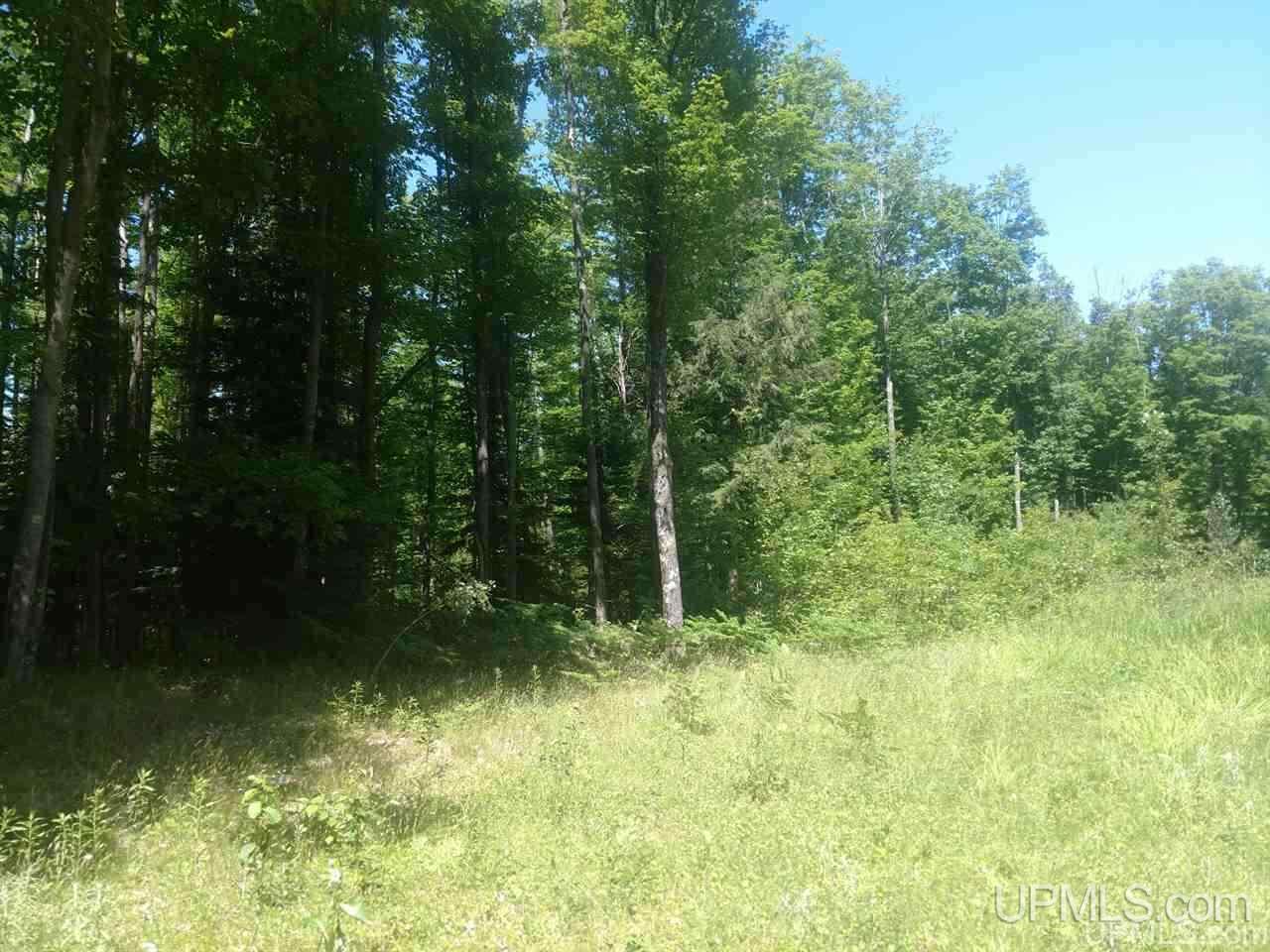 Tbd Karschney Road South Lanse, MI 49946 - Photo 6 of 11